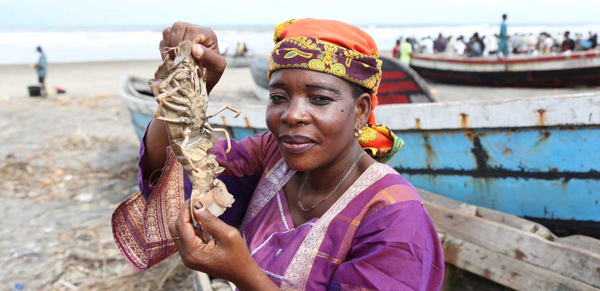 #CooperazioneItaliana 🇮🇹 a protezione degli ecosistemi marini nella provincia di Cabo Delgado #Mozambico | L'iniziativa promuove lo sviluppo sostenibile e integrato delle risorse marine e costiere in 🇲🇿nell'ottica dell'economia blu e gestione sostenibile delle risorse  naturali.