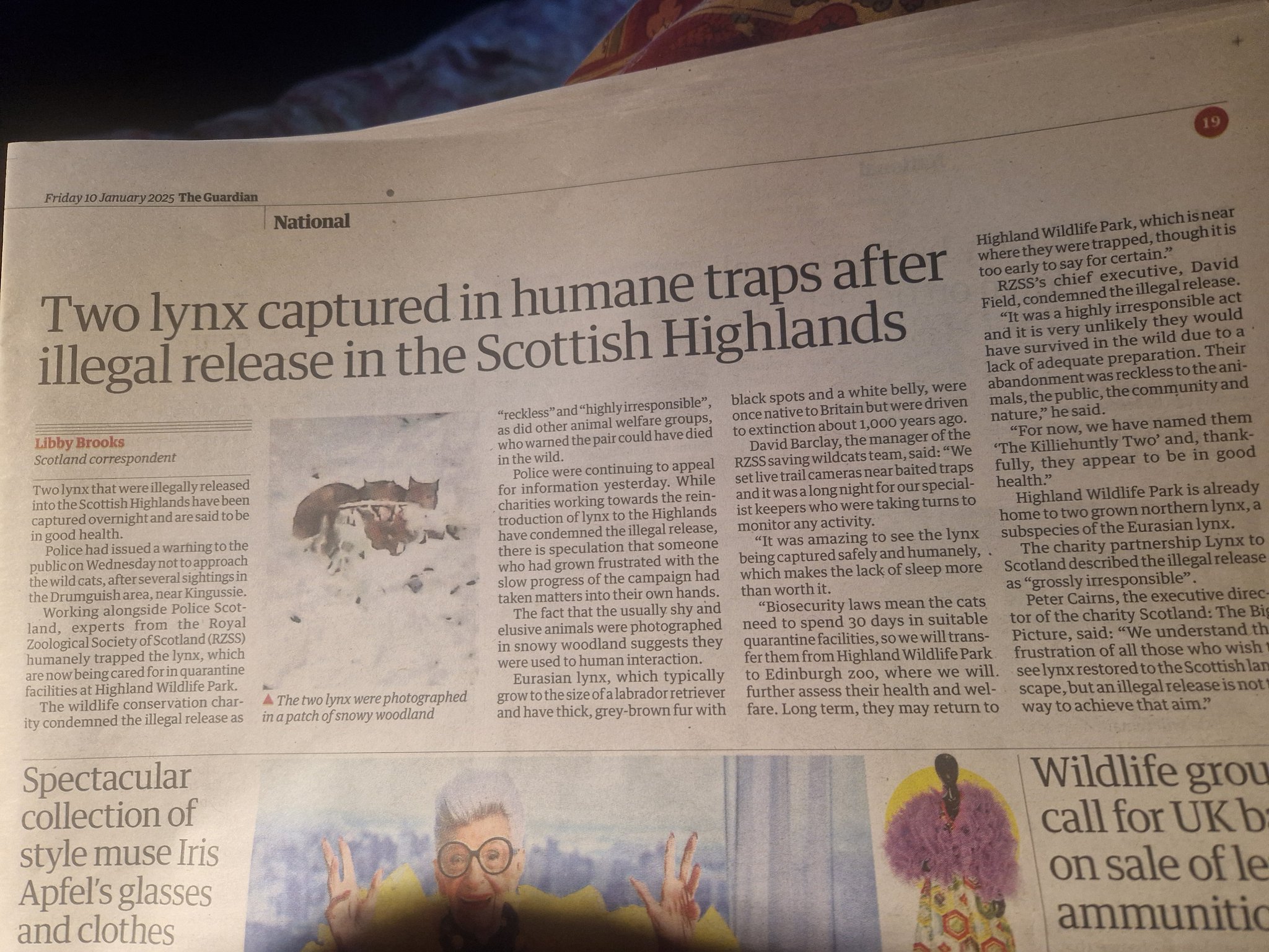 Donnachadh McCarthy on X: &ldquo;Ridiculous &ldquo;police warning&rdquo; over lynx 