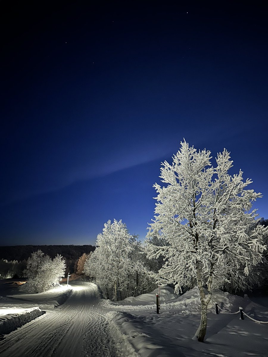 Alastair Hilton tweet media