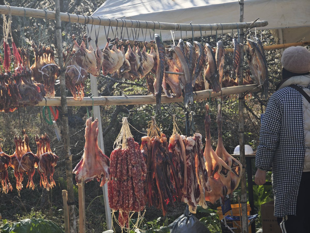 哈芝咪经济 tweet media