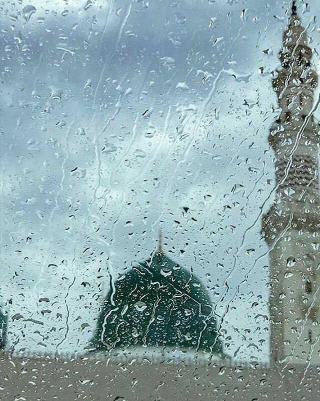 كُل الأنام تقول نفسي حينها 
إلا النبي  يقولُ ربي أمتي 

صل الله عليه وسلم