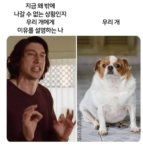 따라단 tweet media