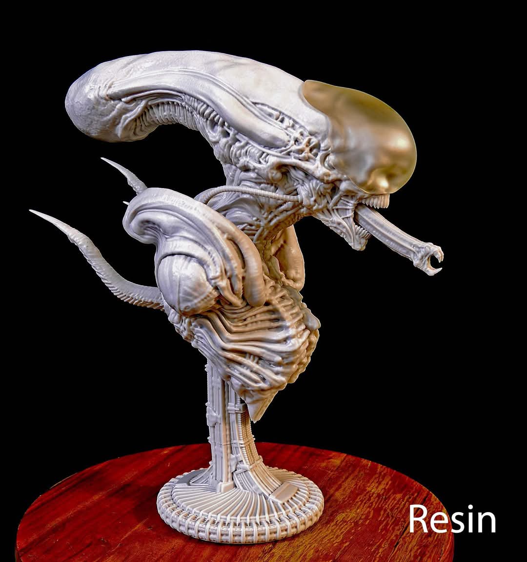 Alien Beta- Enigma Cranium. Full pics &amp; Bio on my FB. Thank you. 🙂

#conceptartwork  #illustrationartist #artist #art #sculpt #sculptor #sculpture #fantasy #fantasyartwork #creature #creatures #3d #3dsculpt #3dsculpting  #digitalartwork #digitalsculpting #alien #apikitt