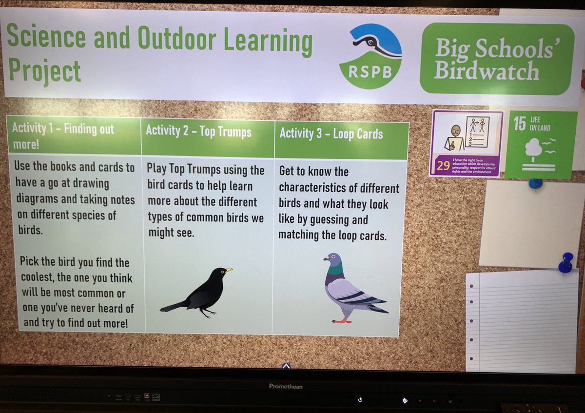 PrestonTowerPS's tweet image. P7A are taking part in the @Natures_Voice #BigSchoolsBirdwatch this January! We started by sharing and developing our previous knowledge of different bird species through various activities. We’re looking forward to getting out there to gather data and do some spotting! 🐦⬛🪶🦉