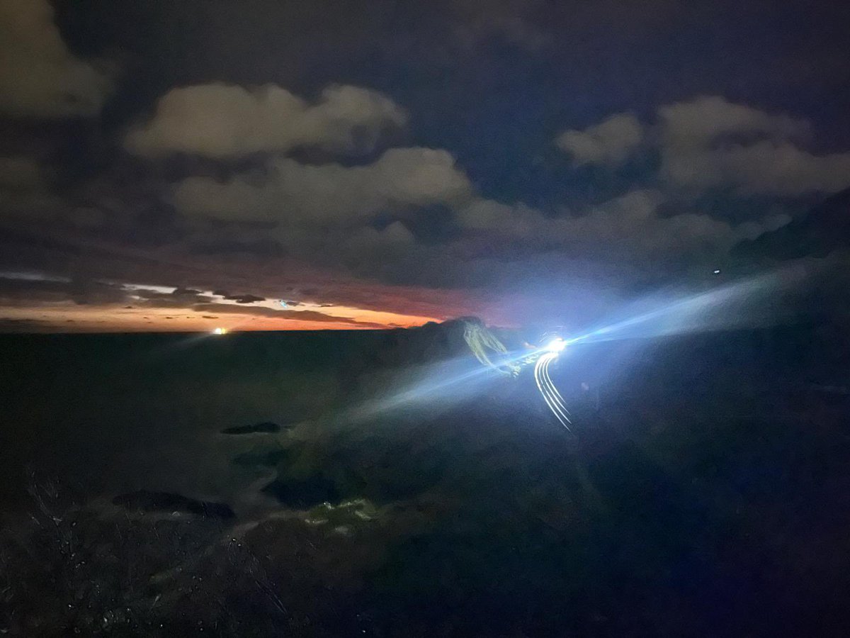 David Forde tweet media