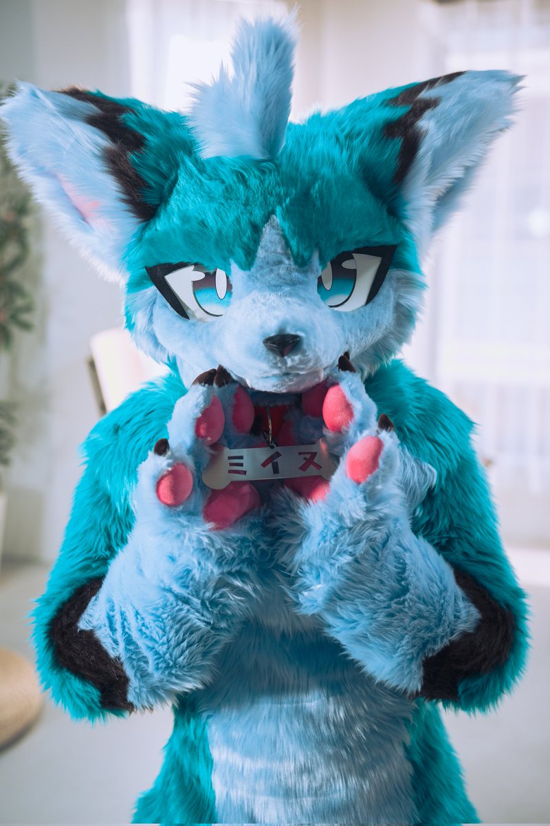 10t100t1000tt's tweet image. ミイヌ、JMoF2025デビューです🐾
仲良くしてあげてください
よろしくお願いします〜
#JMoF2025