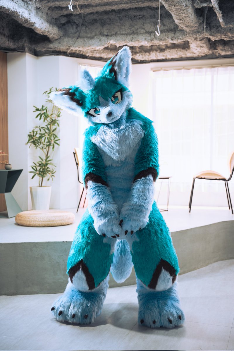 10t100t1000tt's tweet image. ミイヌ、JMoF2025デビューです🐾
仲良くしてあげてください
よろしくお願いします〜
#JMoF2025