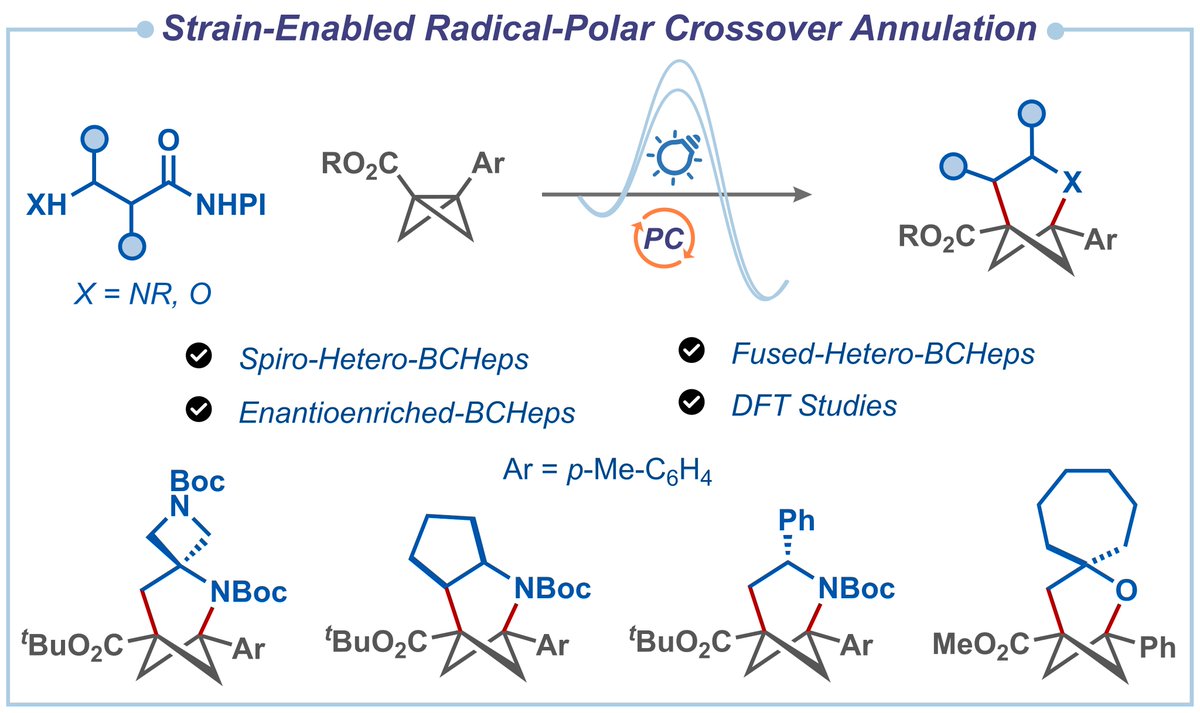 HariGroupIISc's tweet image. Our work on a unified strain-enabled radical-polar crossover annulation strategy to access spiro-, fused-, and enantioenriched-aza/oxa-bicyclo[3.1.1]hepatanes is out @ChemRxiv.  Thank you, @iiscbangalore @serbonline, for the financial support.
doi.org/10.26434/chemr…
