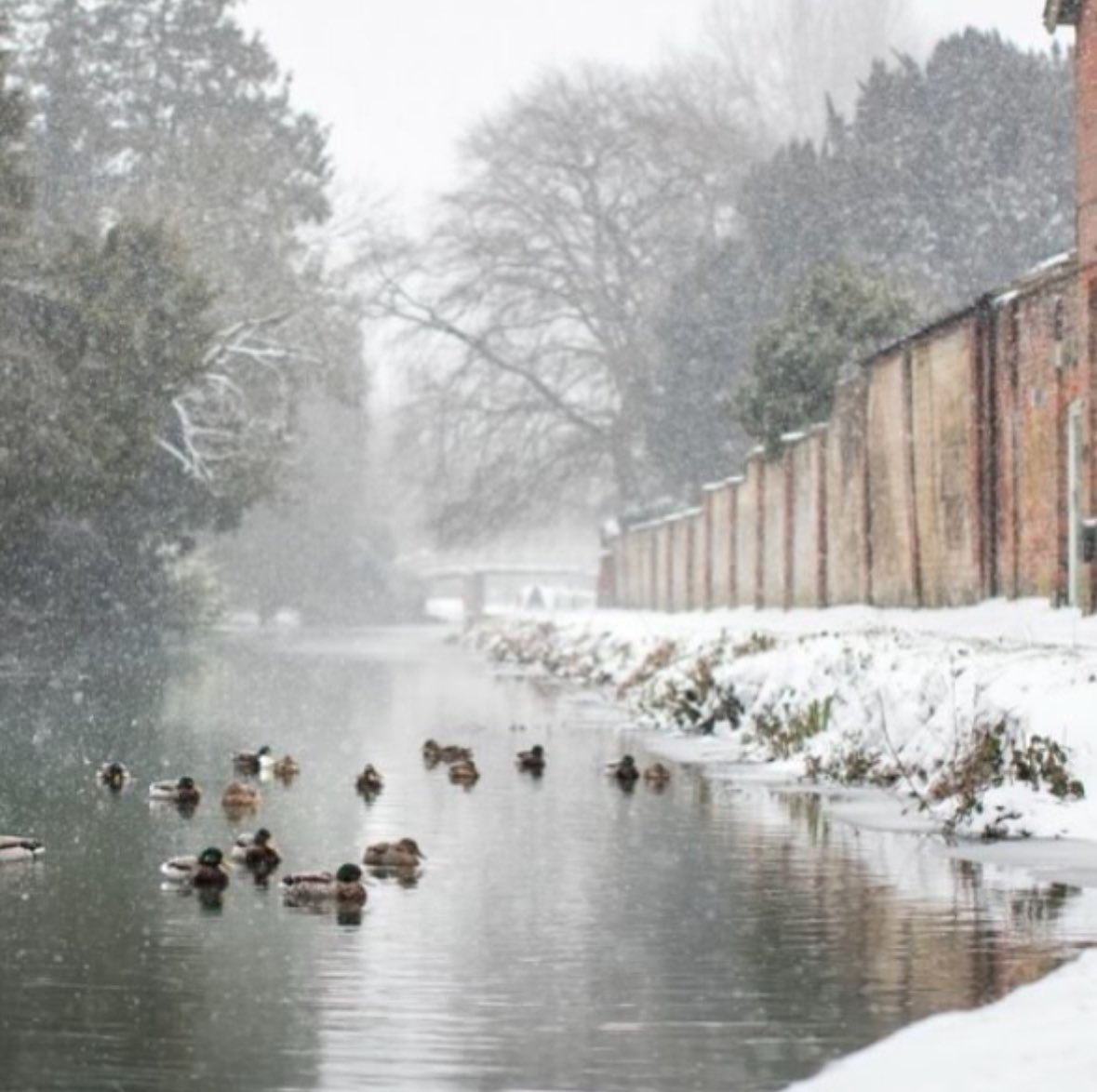 Hungerford &amp; Area Weekly News 
pennypost.org.uk/hungerford-are…

Broadband, rugby, fitness, crafts, chipping, recruitment and birds,the town-centre strategy and a look back at 2024. Community notices and news from @Hungerford_TC 

#hungerford #westberkshire #hungerfordnews