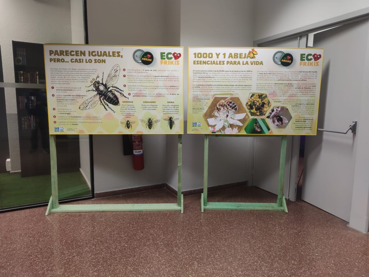 Fundación Oxígeno tweet media