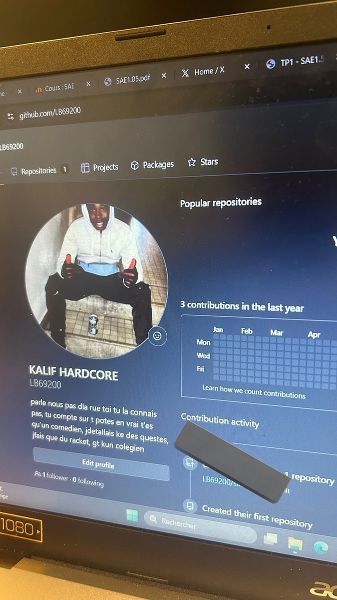 wolvermine92's tweet image. quand mon prof de programmation m’a demander mon github pour voir mon code et qu’il est tombé sur ce profil💔