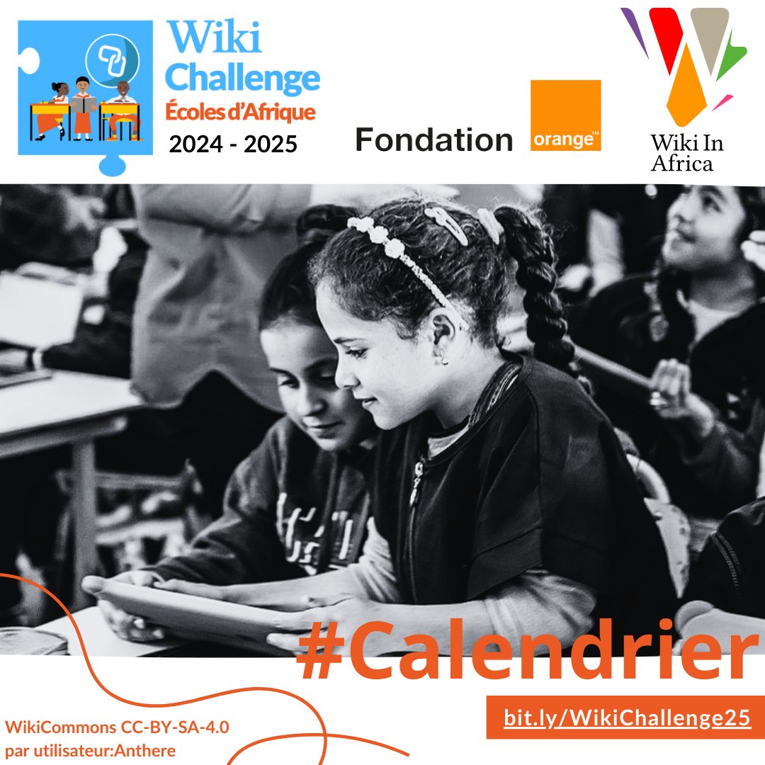 Wiki In Africa tweet media