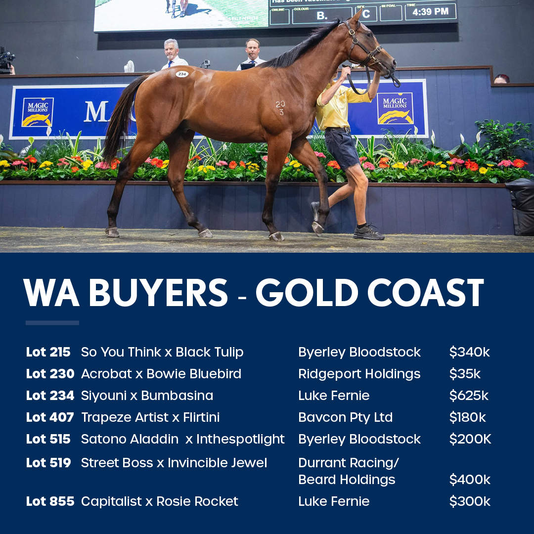 WA buyers have been making waves at the Gold Coast Magic Millions Yearling Sale!

Soon, the magic heads west on Thursday, February 20, and Friday, February 21, for the Perth Yearling Sale, where over 350 yearlings will be on offer.