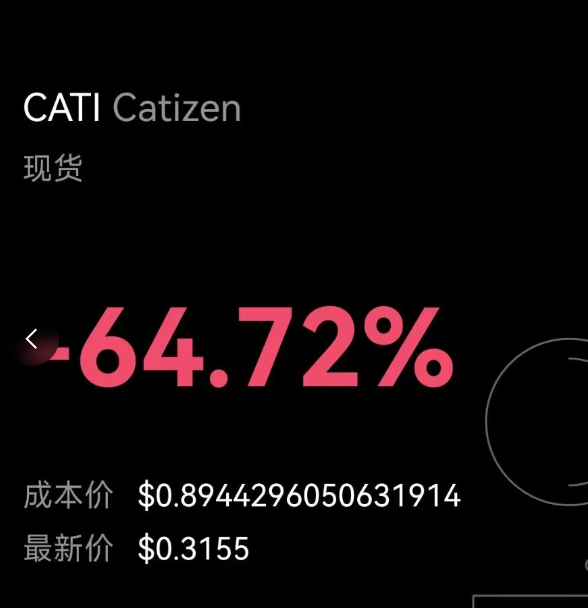 媒体预览