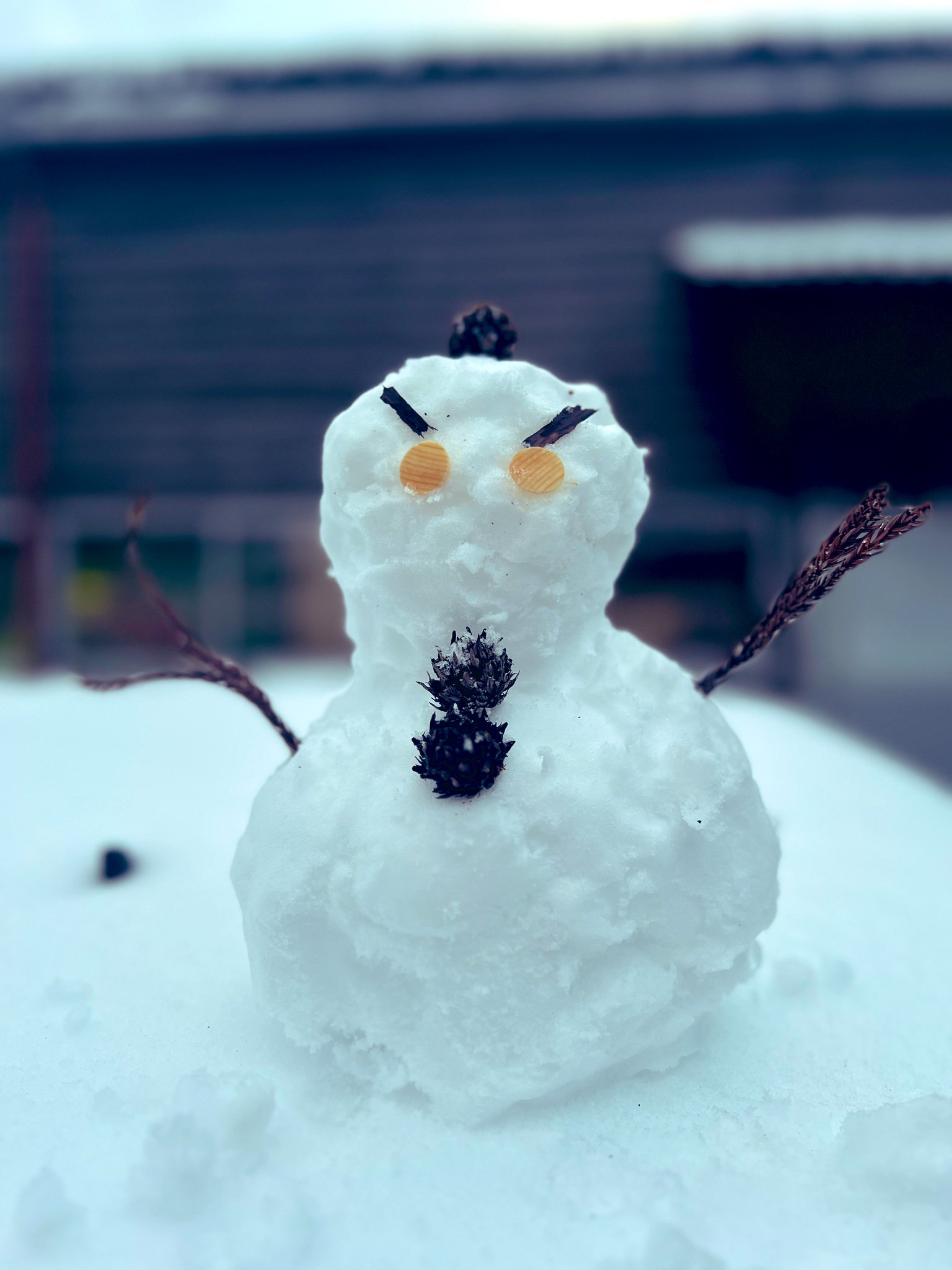 雪だるま 此下瀬戸🍏🔱 على X: 