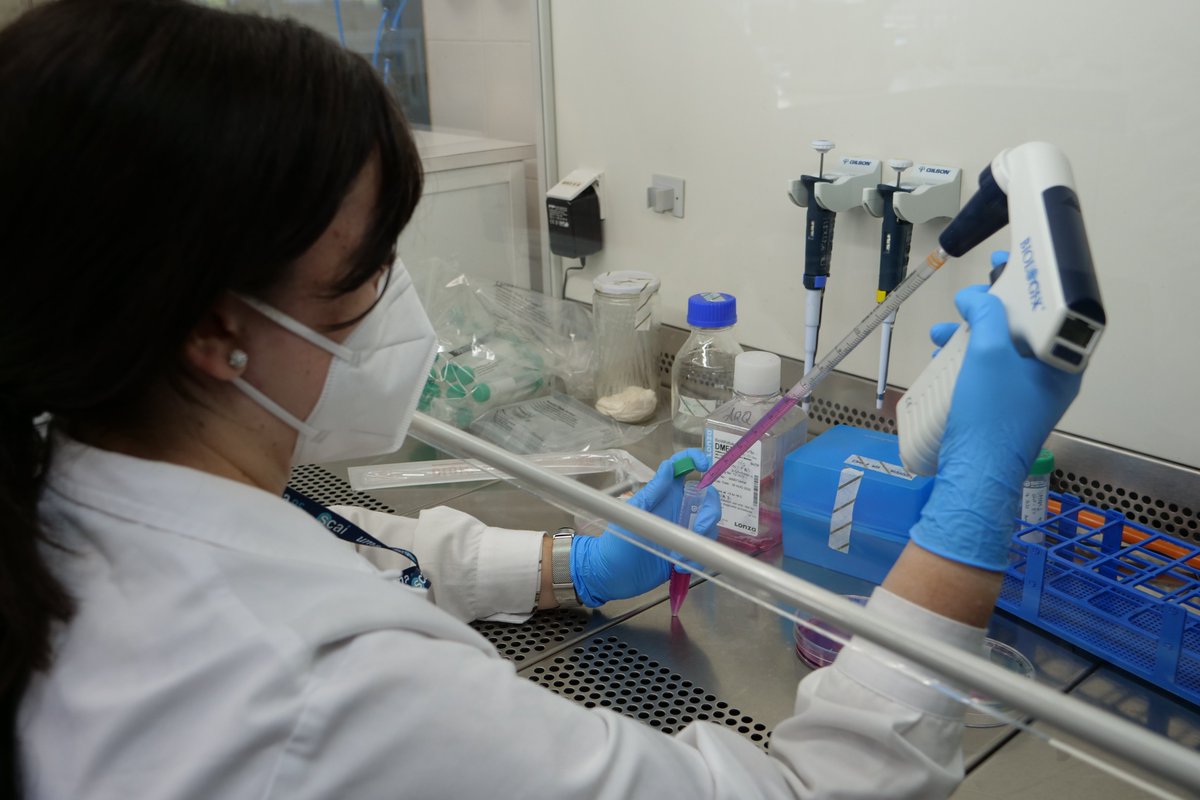 Universidad de Málaga (@infouma) on Twitter photo La UMA capta a tres científicos👩🔬 de prestigio y relevancia internacional procedentes del programa 'Emergia' de la Consejería de <a href="/UniversidadAnd/">Consejería Universidad, Investigación e Innovación</a>.
Además, otros tres se incorporarán al <a href="/IHSM_CSIC_UMA/">IHSM La Mayora</a>. +info: uma.es/sala-de-prensa… La UMA capta a tres científicos👩🔬 de prestigio y relevancia internacional procedentes del programa 'Emergia' de la Consejería de <a href="/UniversidadAnd/">Consejería Universidad, Investigación e Innovación</a>.
Además, otros tres se incorporarán al <a href="/IHSM_CSIC_UMA/">IHSM La Mayora</a>. +info: uma.es/sala-de-prensa…