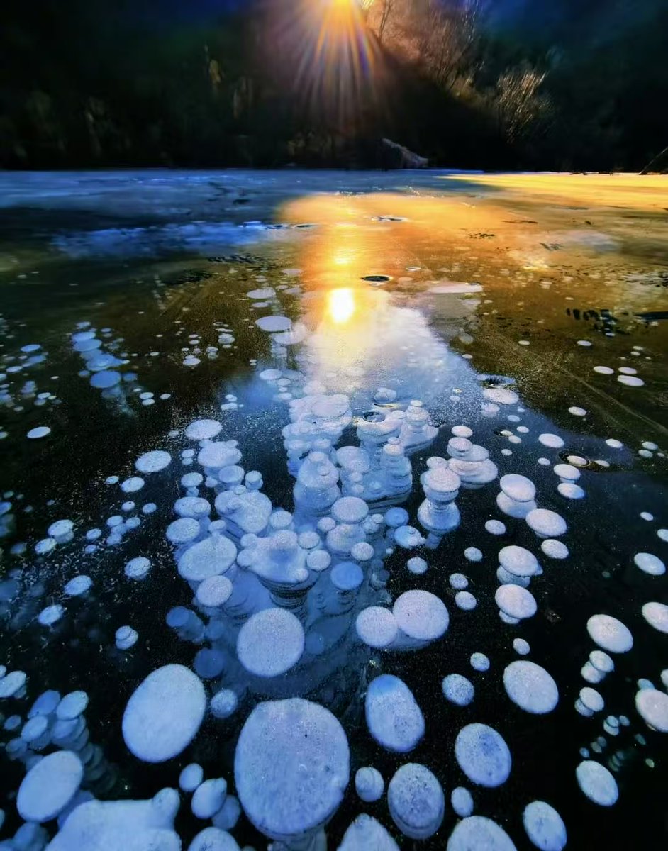 Jiascinating's tweet image. In a tranquil reservoir, a magical encounter between ice and water unfolds.🫧Beneath the ice, countless "ice bubbles," like pearls, are embedded in the clear ice layer, forming a stunning natural masterpiece. (Source: People's Daily) 
#Jiascinating #IceBubble #WinterMagic