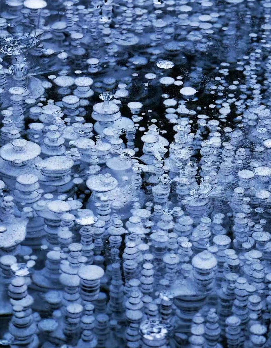 Jiascinating's tweet image. In a tranquil reservoir, a magical encounter between ice and water unfolds.🫧Beneath the ice, countless "ice bubbles," like pearls, are embedded in the clear ice layer, forming a stunning natural masterpiece. (Source: People's Daily) 
#Jiascinating #IceBubble #WinterMagic