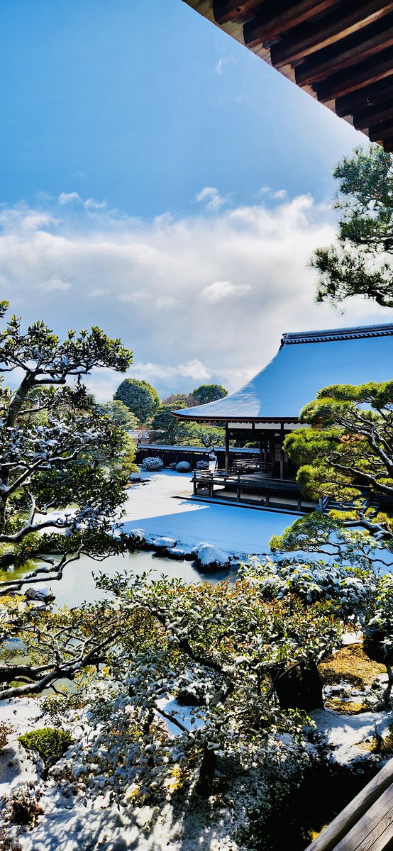 Ninna_ji's tweet photo. 1月10日雪の仁和寺御所庭園にて❄️

#仁和寺 https://t.co/OEU5YiFqJ6