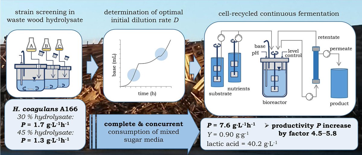 Bio-PAT e.V. (@biopatev) on Twitter photo Have a look on the new paper of <a href="/LeibnizATB/">Leibniz-Institut für Agrartechnik und Bioökonomie</a> , entitled "Transforming waste wood into pure L-(+)-lactic acid: Efficient use of mixed sugar media through cell-recycled continuous fermentation"
sciencedirect.com/science/articl…
#lignocellulose #wastetovalue #fermentation #bioprocessing Have a look on the new paper of <a href="/LeibnizATB/">Leibniz-Institut für Agrartechnik und Bioökonomie</a> , entitled "Transforming waste wood into pure L-(+)-lactic acid: Efficient use of mixed sugar media through cell-recycled continuous fermentation"
sciencedirect.com/science/articl…
#lignocellulose #wastetovalue #fermentation #bioprocessing