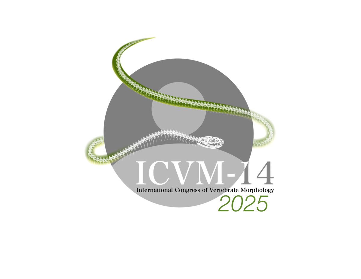 International Society for Vertebrate Morphology (@isvmorph) on Twitter photo 🎉 Congratulations to Truston Trojillo, an undergrad at the University of Manitoba, for winning our logo contest for the ICVM-14 virtual meeting in 2025! 🌟 Thanks to all who participated. Let’s keep this creative tradition alive! #ICVM14 #LogoContest 🎉 Congratulations to Truston Trojillo, an undergrad at the University of Manitoba, for winning our logo contest for the ICVM-14 virtual meeting in 2025! 🌟 Thanks to all who participated. Let’s keep this creative tradition alive! #ICVM14 #LogoContest