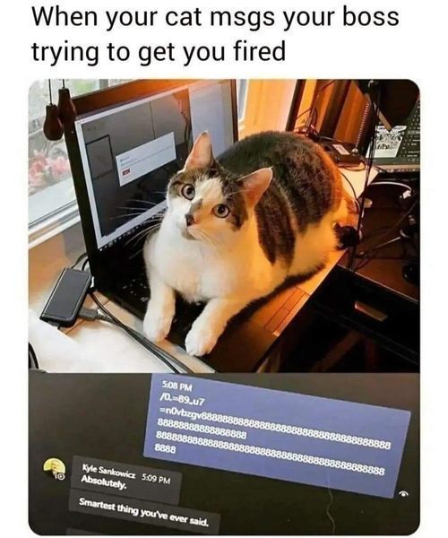 WholesomeMeme's tweet photo. https://t.co/Gh24tH48GZ