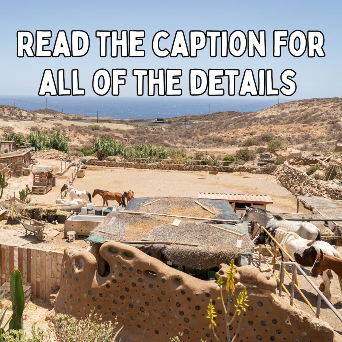 New #volunteering opportunity at out #sanctuary in #Tenerife!