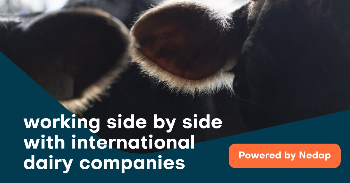 Nedap powers leading international suppliers of genetics and milking equipment, by equipping their systems with our technology. ✅

Which of these is your local partner? nedap-livestockmanagement.com/distributors/

#AgTech #dairy #cows #genetics #milkingequipment #businesspartners