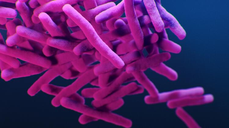 #Tuberculosis is the most common infectious disease worldwide. The novel #antibiotic BTZ-043, co-developed by the DZIF, @LMU_Uniklinikum among others, shows promising results in a clinical phase 1b/2a trial.

dzif.de/en/tuberculosi…