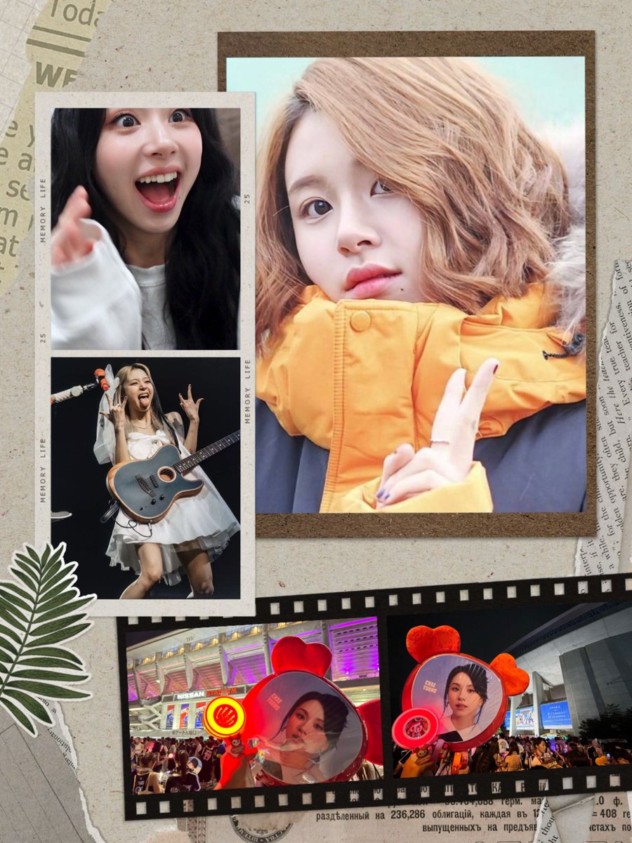 赤ちゃん猛獣🐯 tweet media