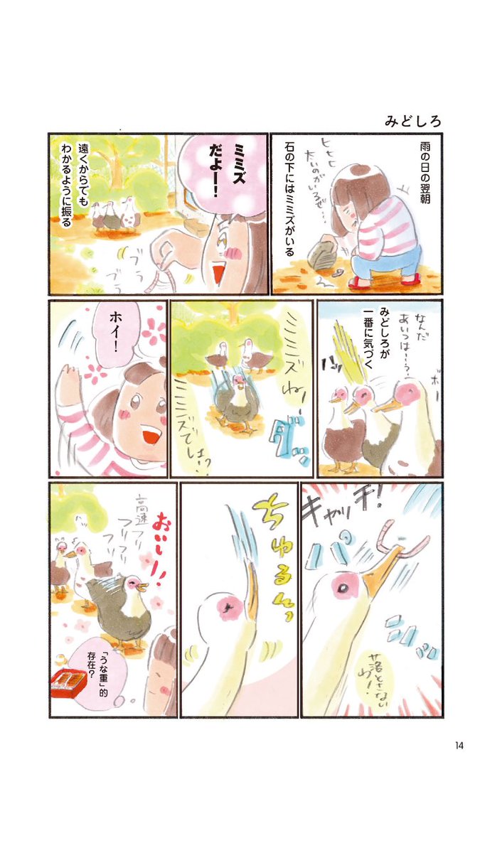 カモを飼ってみた話
2/8 