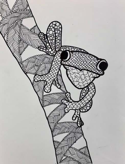 Onslow County Schools tweet media