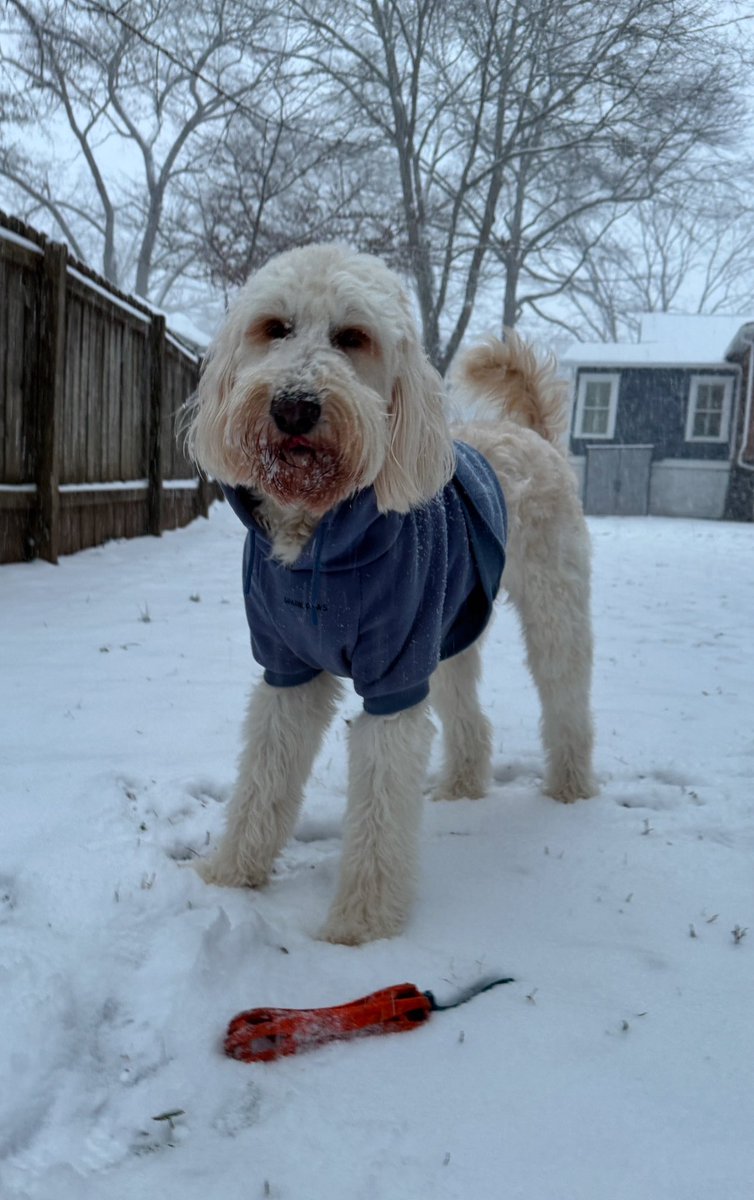 Stuart Drew tweet media