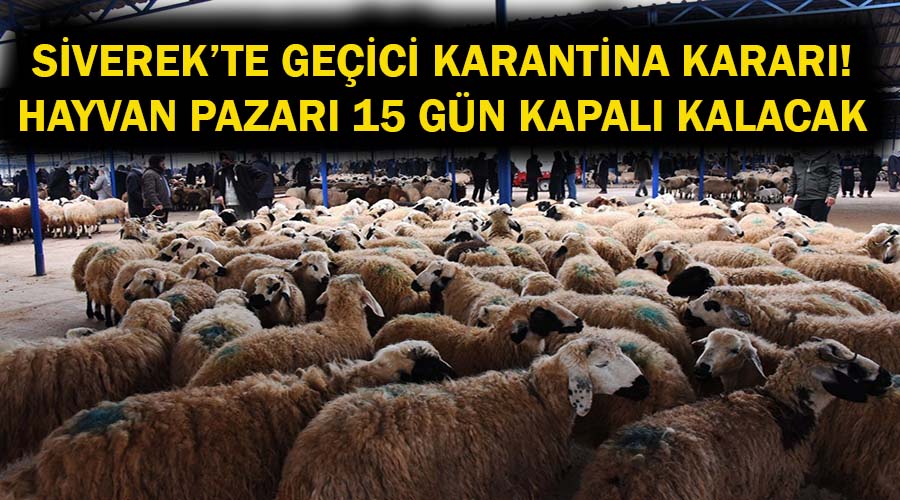 SiverekSonHaber's tweet photo. Siverek'te şap hastalığı şüphesi üzerine 15 günlük geçici karantina kararı alındı! - https://t.co/CHxuqcvNrB @siverekkaymakam @UrfaValiligi https://t.co/eEvEuoFbdx
