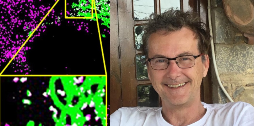 Nachgefragt: Prof. Dr. M. Lienhard Schmitz im Interview
biospektrum.de/artikel/nachge…

Bild: Copyright rechter Bildteil M. Lienhard Schmitz