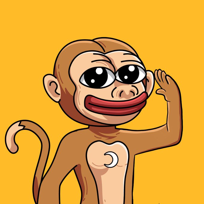 MoonkeyCTOonSOL tweet media