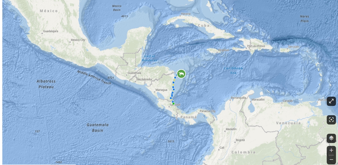 Briar swimming around <3 #toss #charity #Crypto