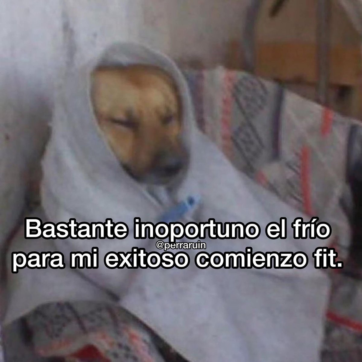 Bastante inoportuno.