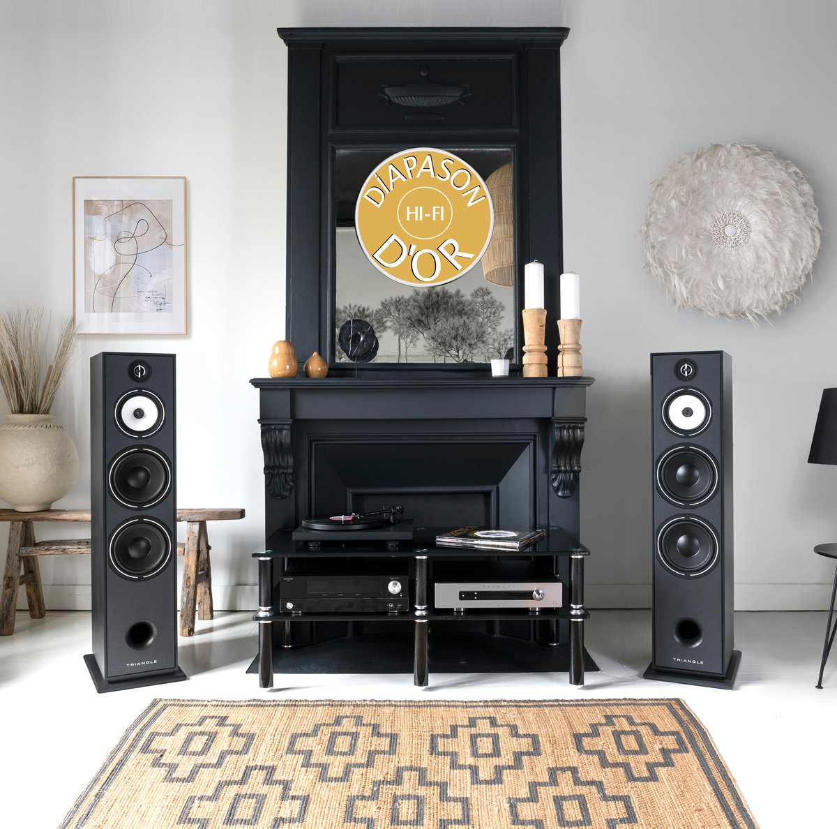 🏆 DIAPASON D'OR: The BR10 has been awarded the prestigious Diapason d'Or for its stunning performance for its price. "Considering the components on board and the overall performance, this floorstander speaker is totally affordable..." Diapason Magazine N°740