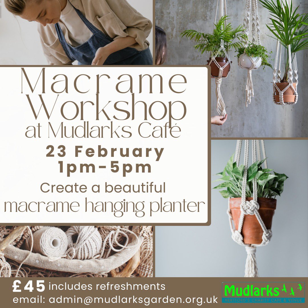 Mudlarks tweet media