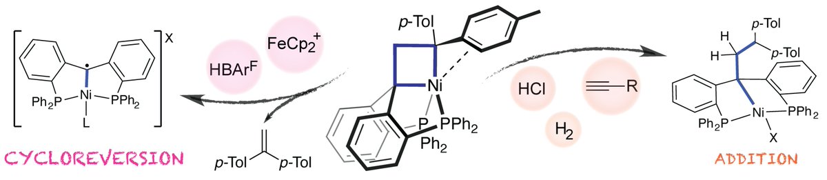 Marc-Etienne Moret | @memoret@mstdn.science (@me_moret) on Twitter photo The latest paper of <a href="/MariaLSP14/">María L. G. Sansores Paredes</a> with Martin Lutz is now available online in its fully typeset form in <a href="/ChemEurJ/">ChemEurJ: Chemistry - A European Journal</a> :
doi.org/10.1002/chem.2…
We thank <a href="/ERC_Research/">European Research Council (ERC)</a> for funding this work, which was performed at <a href="/UU_ISCC/">Institute for Sustainable & Circular Chemistry</a> <a href="/DeptChemUU/">Department of Chemistry (Utrecht University)</a>
📷
1/3 The latest paper of <a href="/MariaLSP14/">María L. G. Sansores Paredes</a> with Martin Lutz is now available online in its fully typeset form in <a href="/ChemEurJ/">ChemEurJ: Chemistry - A European Journal</a> :
doi.org/10.1002/chem.2…
We thank <a href="/ERC_Research/">European Research Council (ERC)</a> for funding this work, which was performed at <a href="/UU_ISCC/">Institute for Sustainable & Circular Chemistry</a> <a href="/DeptChemUU/">Department of Chemistry (Utrecht University)</a>
📷
1/3