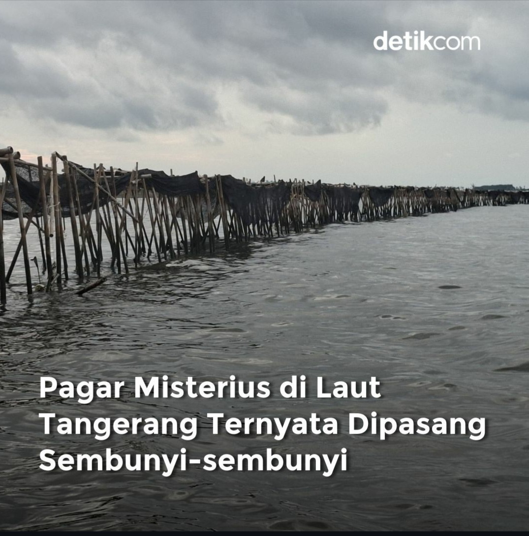 Pasangnya senyap banget nih. Wow...