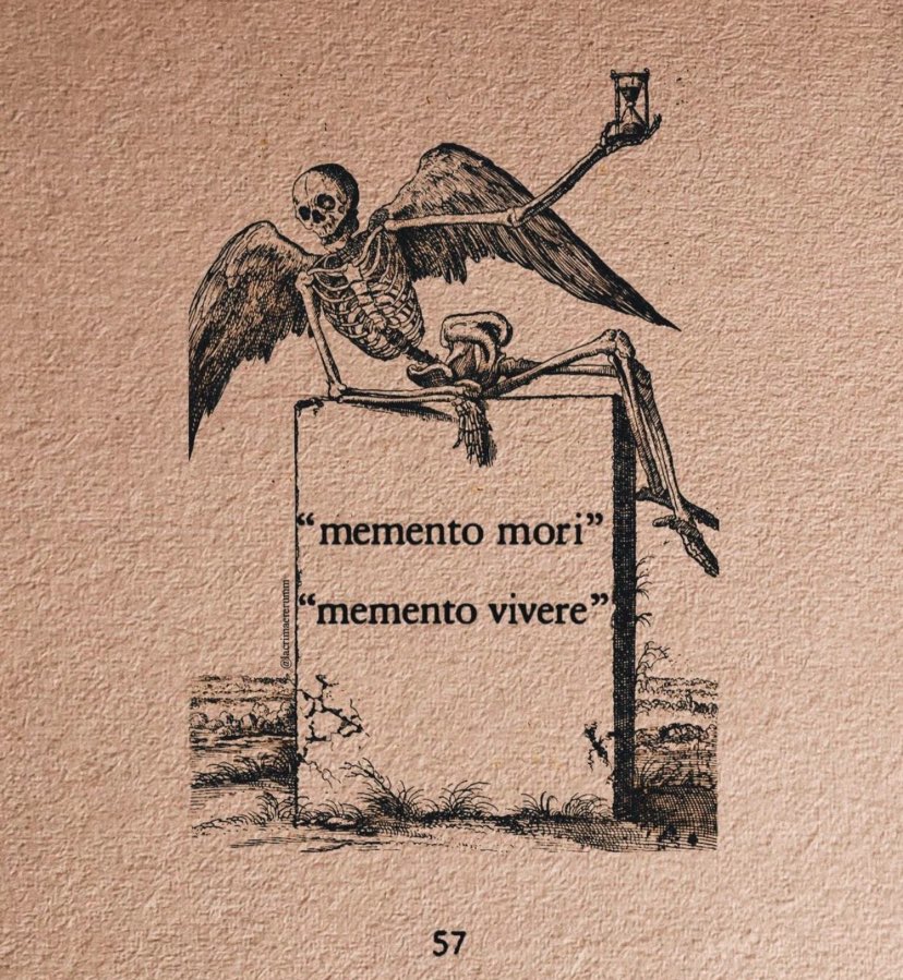 Low IQ Turnusolu tweet media