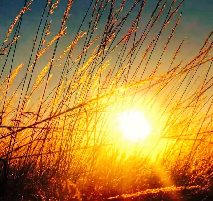 Massimo Moscarelli tweet media