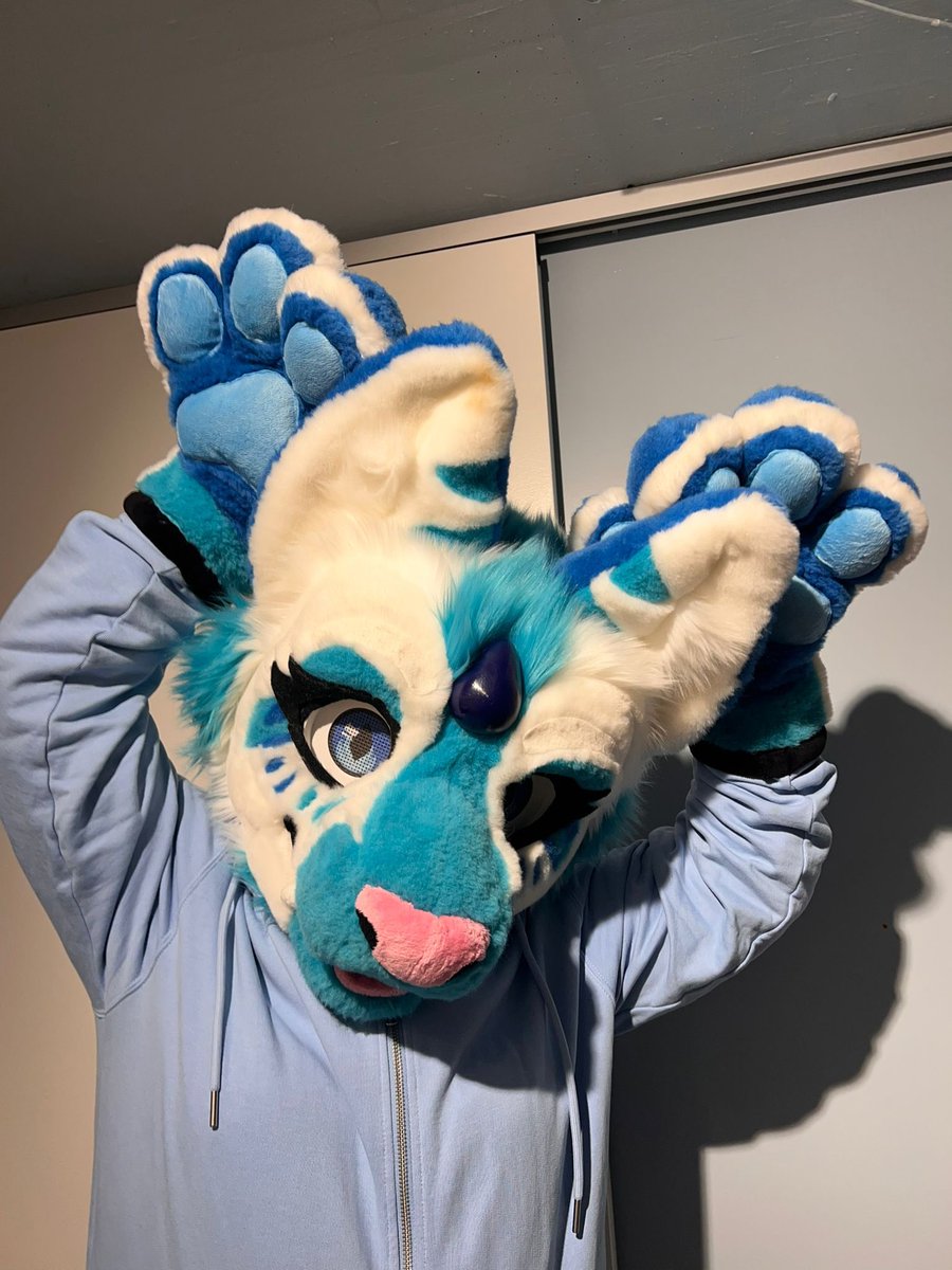 Zum Glück hab ich meine Mitze 🐱 mitgenommen so konnte ich meine neue Brille auch gleich schauen das es passt für meinen Head. Ich bin glücklich und zufrieden mit der neuen Brille. #FursuitFriday