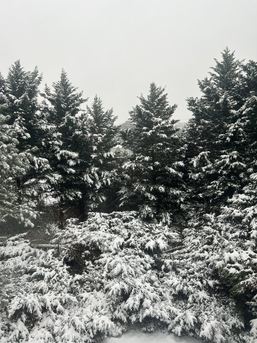 Snow day views from Atlanta ❄️😍
