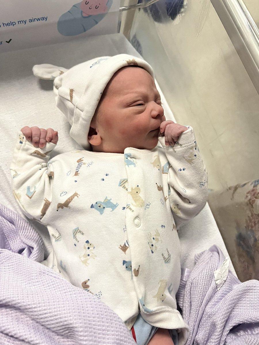 Fulhamflutter's tweet image. My new arrival today at 11:16am. 

Thomas 🖤🤍

Welcome to the club son!!!