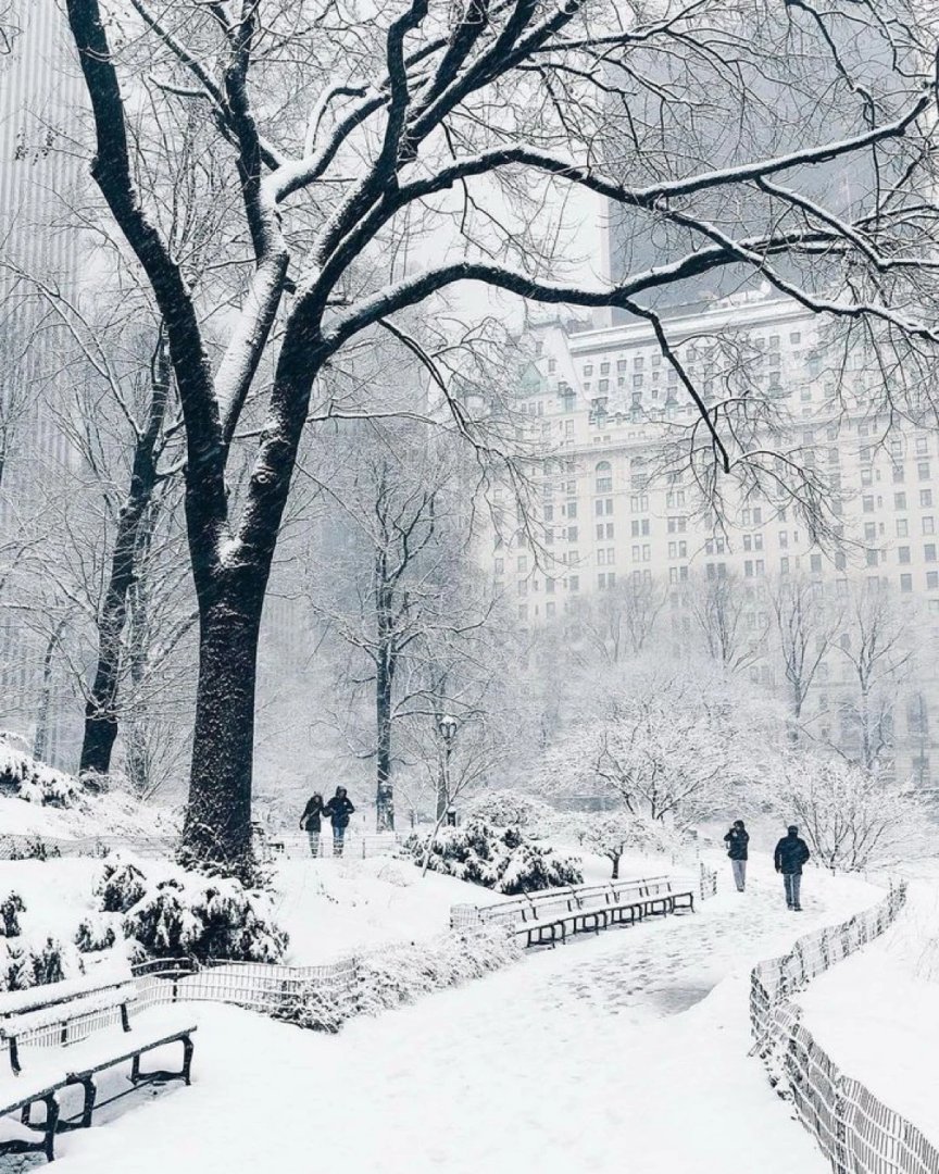 Central Park à New York…

#CentraPark #NewYork #neige #Photo