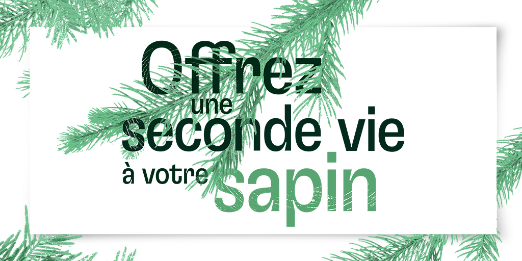 #RecyclonsNosSapins 🌲♻️
Vous avez jusqu'au 20 janvier pour déposer votre sapin dans l'un des points de collecte de la Ville de Paris.
Ils y seront broyés et utilisés pour protéger les plantations dans les espaces verts !
Trouvez votre point de collecte 👇
paris.fr/pages/recyclon…