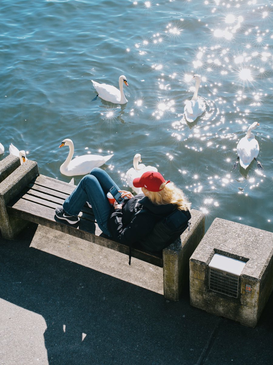 Ari (@lyqeslr) on Twitter photo 